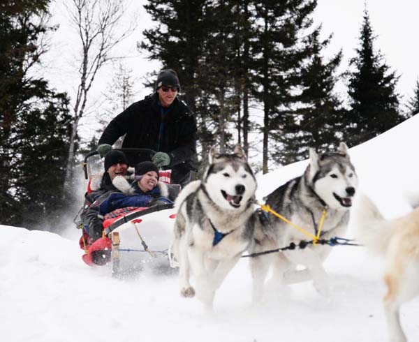 moose tours bretton woods nh